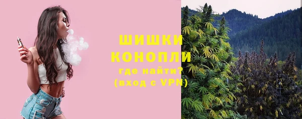 спиды Богородицк