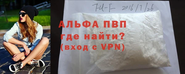 спиды Богородицк