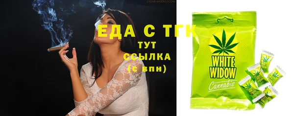 спиды Богородицк