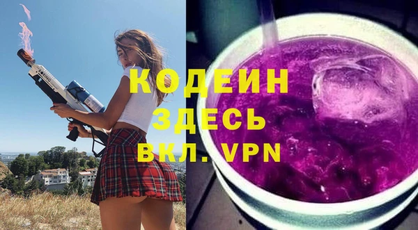 спиды Богородицк