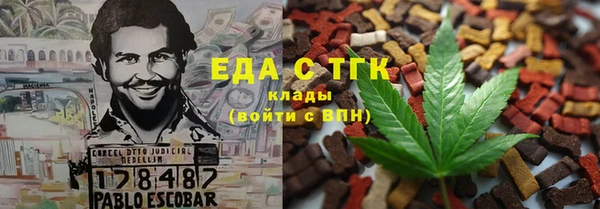 спиды Богородицк