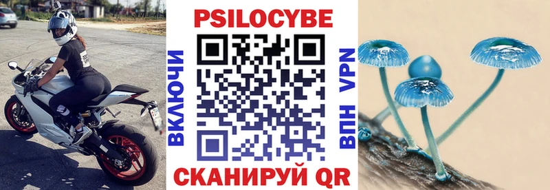 мега ссылка  Березники  Псилоцибиновые грибы Cubensis  как найти  
